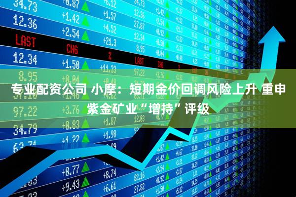 专业配资公司 小摩：短期金价回调风险上升 重申紫金矿业“增持”评级