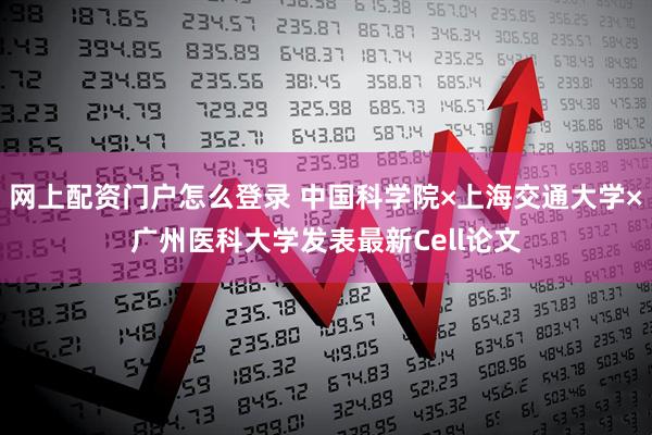 网上配资门户怎么登录 中国科学院×上海交通大学×广州医科大学发表最新Cell论文